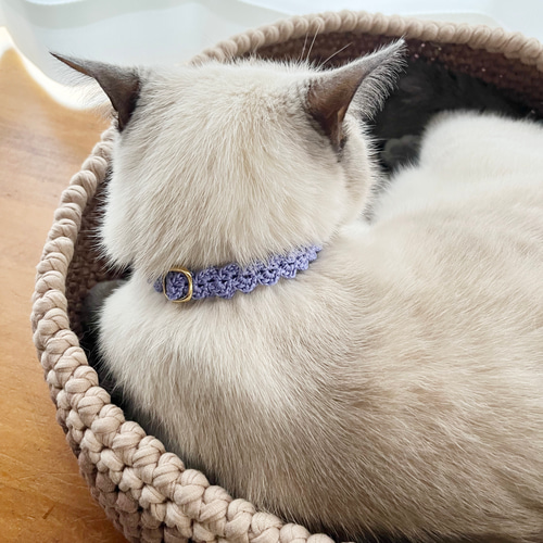 軽くてやわらかい手編みの猫首輪＊パープルのウェーブライン