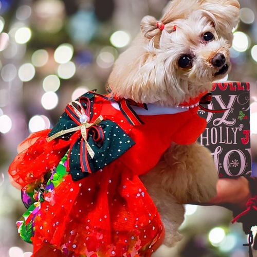 犬服／猫服 クリスマス ツリー柄ワンピース [CH2201] ペット服
