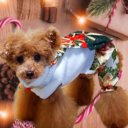 犬服／猫服　クリスマス ワンピース/オールインワン　金ラメポインセチア [CH2203] 10枚目の画像
