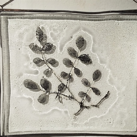 「Botanical Card/ノイバラ」　ガラス　植物標本　オーナメント 3枚目の画像