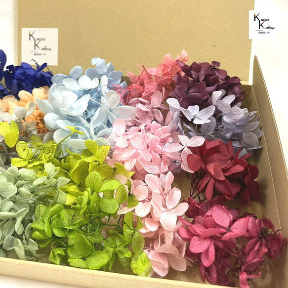 Daichi Nouen 永生花“我會給你 87 朵你喜歡的繡球花”什錦軟金字塔繡球福袋 第2張的照片