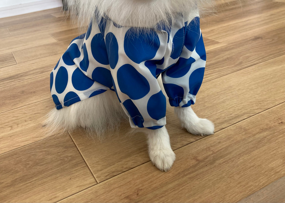 【型紙】犬服　レインコート 5枚目の画像