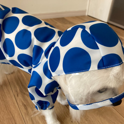 【型紙】犬服　レインコート 7枚目の画像