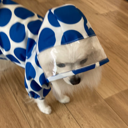 【型紙】犬服　レインコート 6枚目の画像