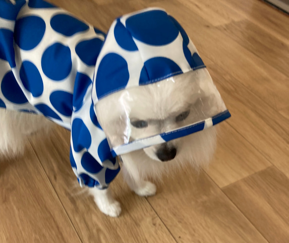 【型紙】犬服　レインコート 6枚目の画像