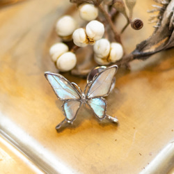 本物の蝶の羽　タスキアゲハ蝶デザイン バタフライラペルピン　スルコウスキーモルフォ[zps076r-sul] 2枚目の画像