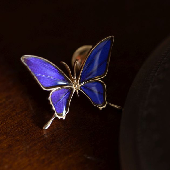 本物の蝶の羽　タスキアゲハ蝶デザイン バタフライラペルピン　ムラサキツバメ　[zps076g-pur] 2枚目の画像