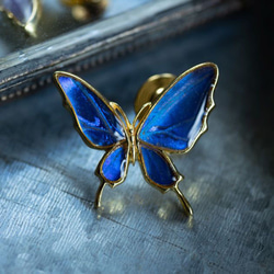 本物の蝶の羽　舞い飛ぶアゲハ蝶デザイン バタフライラペルピン　カキカモルフォ　[zps077g-cac] 4枚目の画像