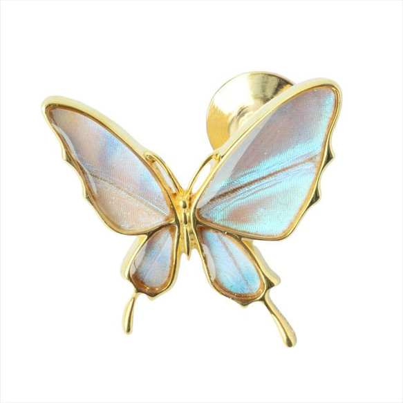 本物の蝶の羽　舞い飛ぶアゲハ蝶デザイン バタフライラペルピン　スルコウスキーモルフォ　[zps077g-sul] 1枚目の画像