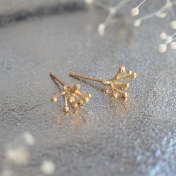 【再販売】Kasmisouピアス  白×金糸  中size かすみ草グロウピアス | liqui