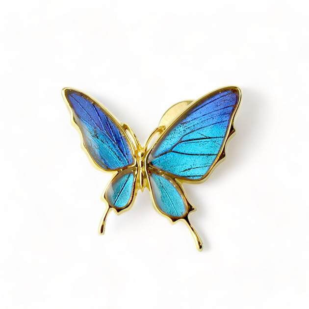 本物の蝶の羽　舞い飛ぶアゲハ蝶デザイン バタフライラペルピン　タミラスムラサキシジミ　[zps077g-thamy]