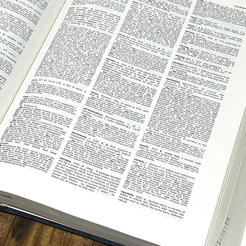 洋書切り離し    専用 洋書切り離し・A4サイズの洋書辞書書籍・切り離し30枚セット