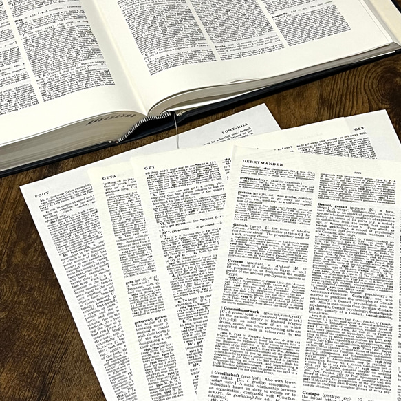 洋書切り離し    専用 洋書切り離し・A4サイズの洋書辞書書籍・切り離し30枚セット