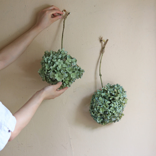 ドライフラワー】あじさい枝付き ブルー・グリーン系 【 Lサイズ
