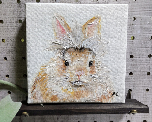 4bb2efd5f2ed0fc2d797ec98a8e262