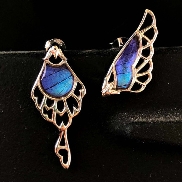 本物の蝶の羽 アシンメトリー バタフライ ピアス タミラスムラサキ