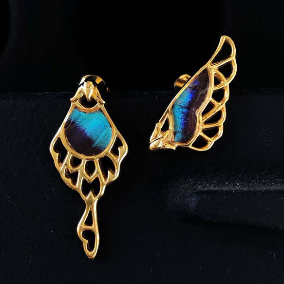 本物の蝶の羽 アシンメトリー バタフライ ピアス ドクソコパチェルビナ