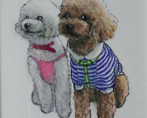 トイプードル白】【トイプードル茶】仲良しトイプードル 原画 絵画