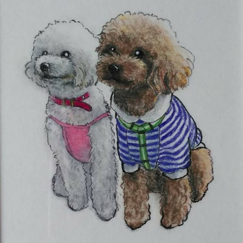 トイプードル白】【トイプードル茶】仲良しトイプードル 原画 絵画