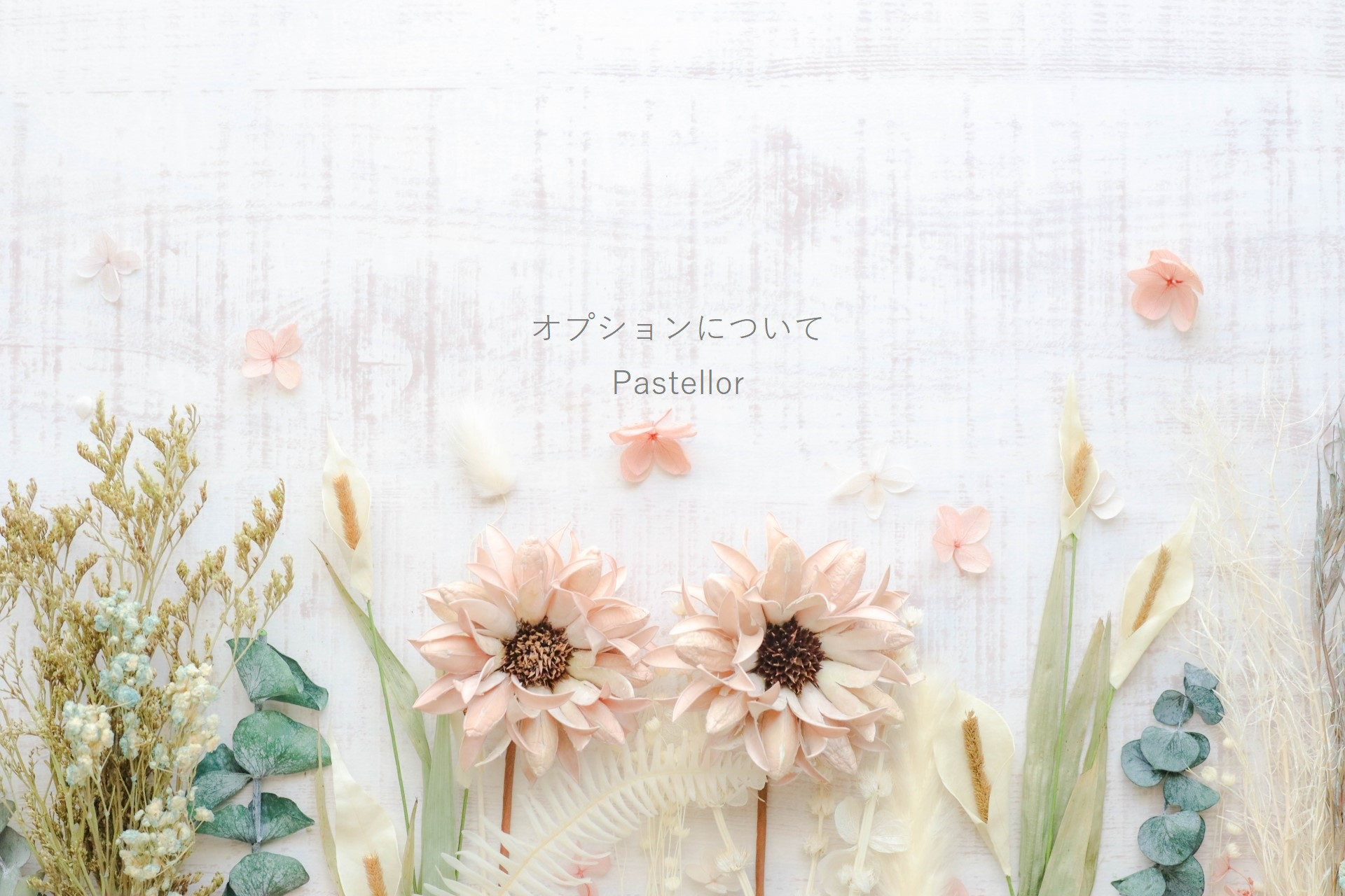 オプションについて【ご購入の前にご確認ください】