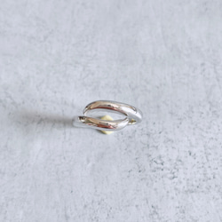 ribero/gently envelop ring  (gold有)受注制作品 12枚目の画像