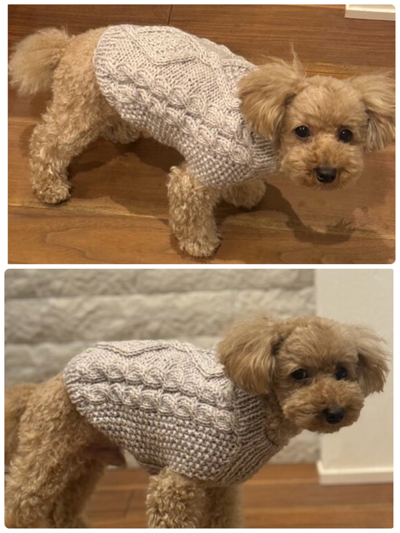 小型犬用アラン編みセーター【ダイヤ柄4色】◇◆ペット用手編みセーター◆◇販売15 5枚目の画像