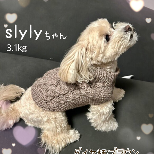 小型犬用アラン編みセーター【ダイヤ柄4色】◇◇ペット用手編み