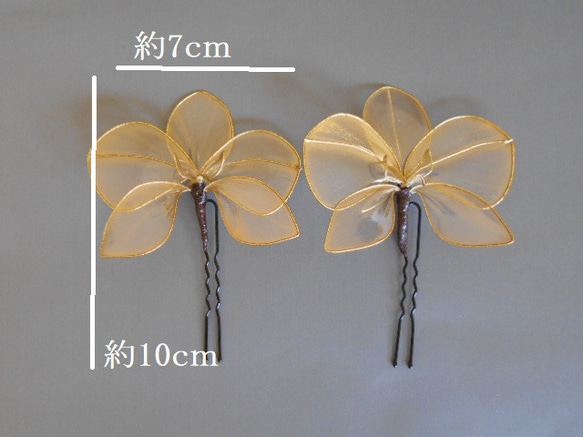 胡蝶蘭と水引のUピン５本セット（ゴールド）ヘッドドレス 7枚目の画像