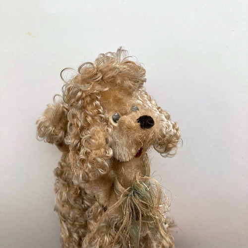 アンティークプードルぬいぐるみ dog ドック イギリスアンティーク