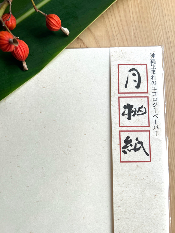 琉球水引 月桃紙ぽち袋『王道の』 6枚目の画像