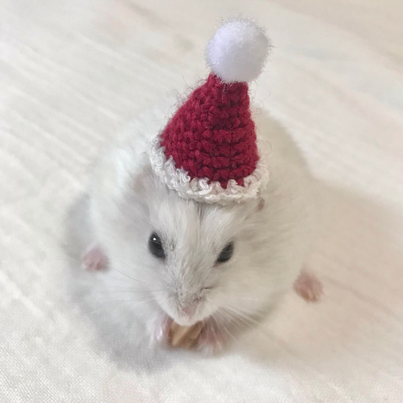 サンタさん帽子　ハムスター⋆小動物⋆ぬいぐるみ 3枚目の画像