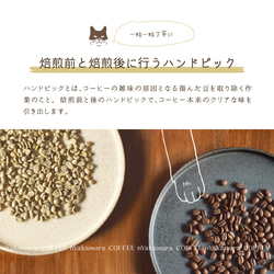 1日猫ちゃんコーヒーギフトBOX(ドリップバッグ15袋入り(3種類×各5袋))自家焙煎珈琲/ギフト/ドリップコーヒー 11枚目の画像