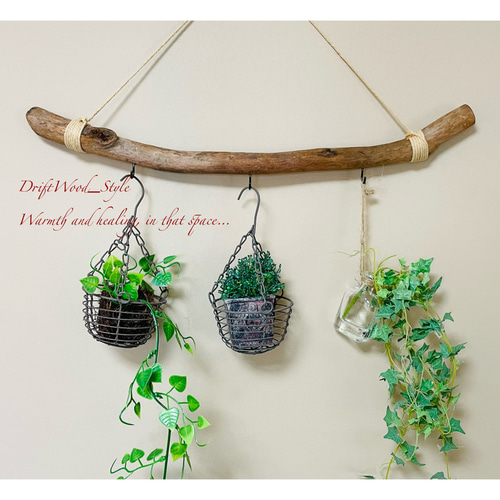 流木インテリアハンガーno.52 流木インテリアハンガーno.52 流木インテリアハンガーno.52