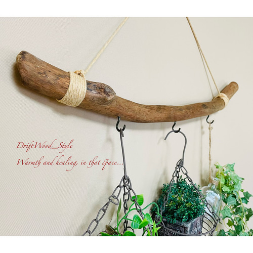 流木インテリアハンガーno.52 流木インテリアハンガーno.52