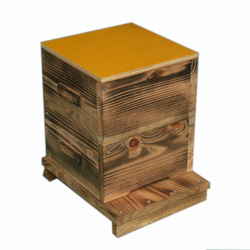 日本ミツバチ巣箱 捕獲飼育箱　重箱式2段巣箱　日本蜜蜂 日本みつばち巣箱　 1枚目の画像