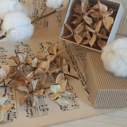 536504ca6a790618fb8356e33d800e