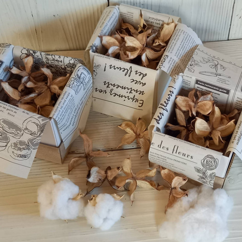 専用コットン　ドライフラワー花材 ☆送料無料☆ワタガラ☆13個☆コットンフラワー☆ドライフラワー☆花材