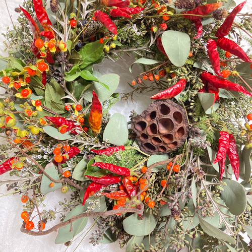 Autumn Wreath ツルウメモドキ 30㎝✖️40㎝ リース