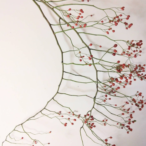 送料込み》野バラの実のドライフラワー(枝) ドライフラワー nyao-mery