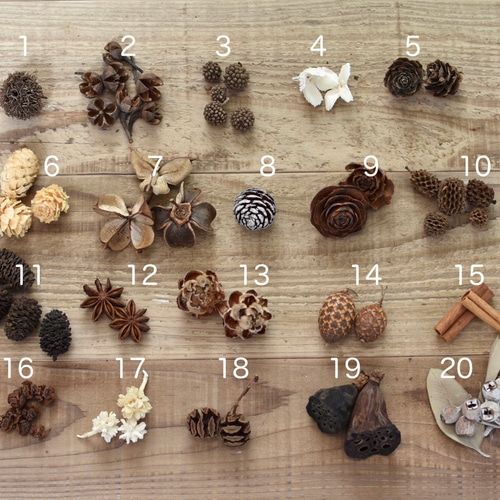 木の実の詰め合わせ20種類 ドライフラワー Prendre Un Verre 通販