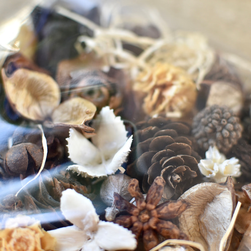 専用】木の実詰め合わせ No.498 専用】木の実詰め合わせ No.498 木の実