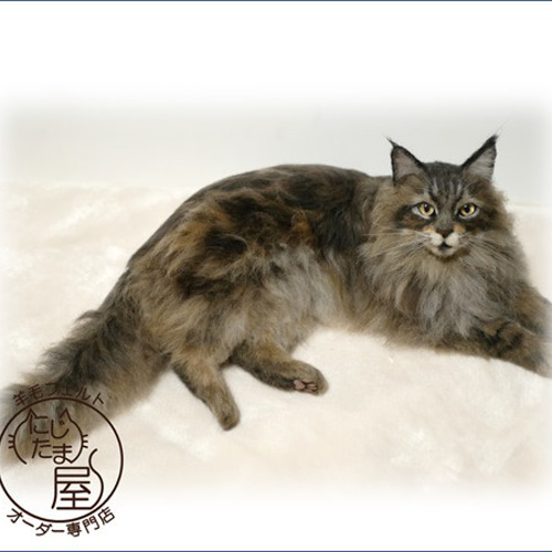 羊毛フェルト 猫 ふさふさな子猫 ねこ ネコ 猫フィギュア