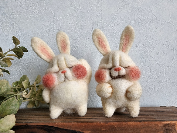 うさぎ様オーダー^ ^（うさぎꪔ̤̮様order》 （うさぎ餅様☆オーダー  