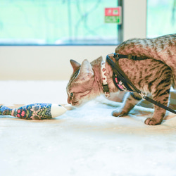 愛猫と一緒に抱きしめて！キューと鳴く魚のぬいぐるみ 3枚目の画像