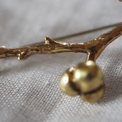 brass（真鍮）ナンキンハゼのブローチ 4枚目の画像