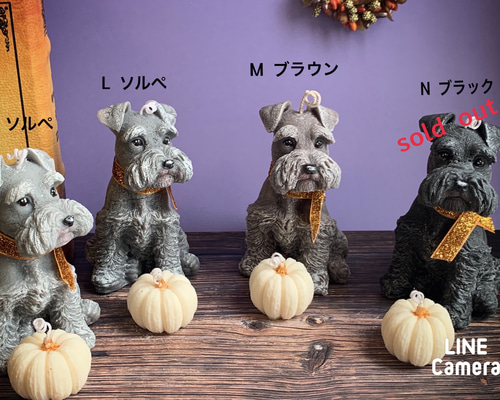 パンプキン 容器 ガラス キャンドル 新品 パンプキンガラスキャニスター 兼キャンドルホルダー L 11×11cm