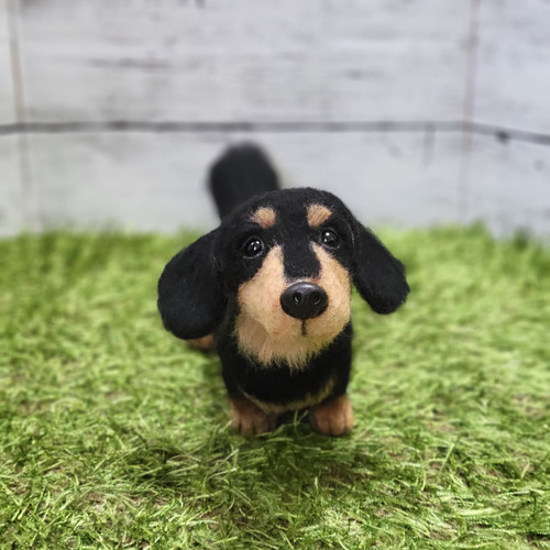 羊毛 フェルト ミニチュアダックス ブラックタン 愛犬 うちの子