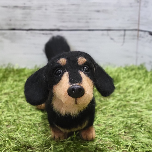 羊毛フェルト ミニチュアダックス 愛犬 うちの子 オーダー ペット