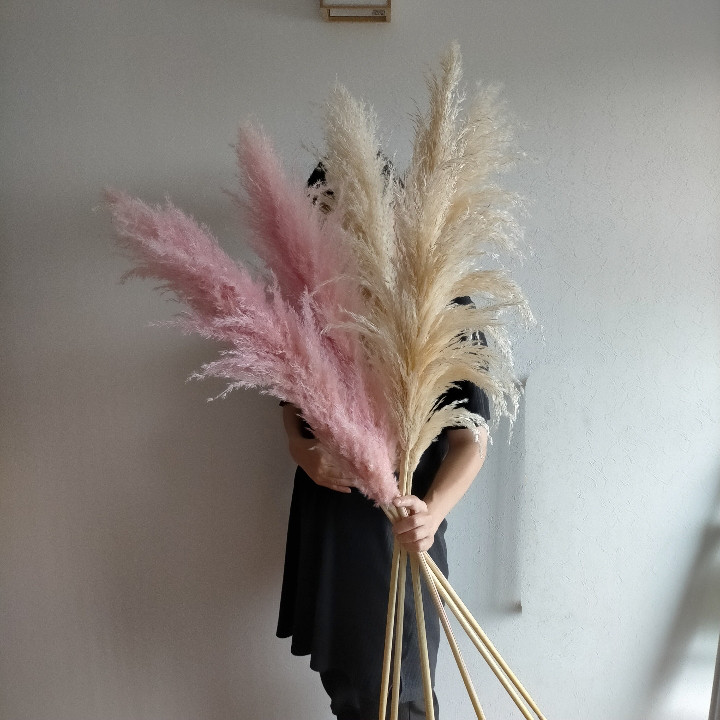 【まとめ売り】ドライフラワーパンパスグラスウェディングインテリア飾り大容量韓国 Amazon.co.jp: 天然乾燥パンパスグラスブーケ - 85本 バニー