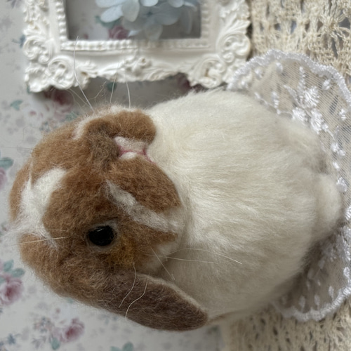 うさぎ羊毛フェルト ホーランドロップフォーン Sサイズ 羊毛